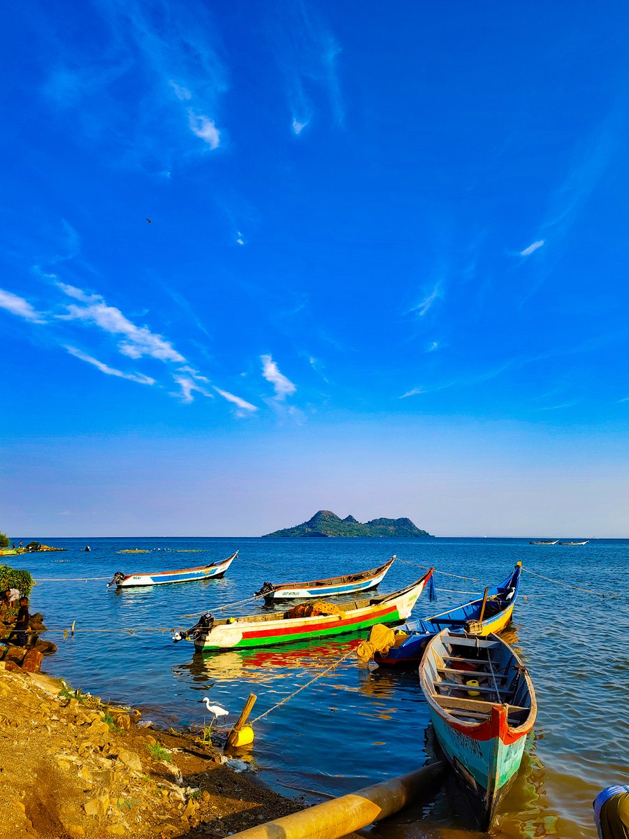 Msafiri Afrika tweet media