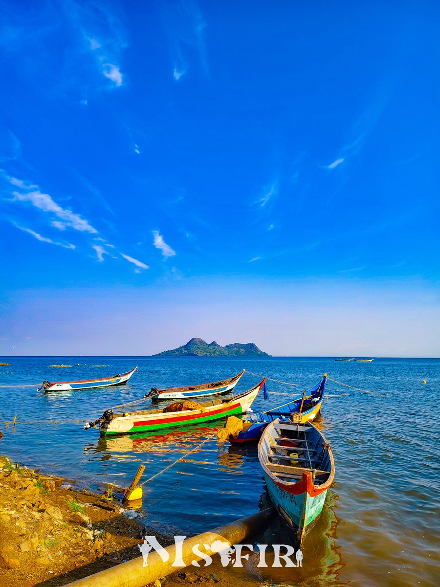 Msafiri Afrika tweet media