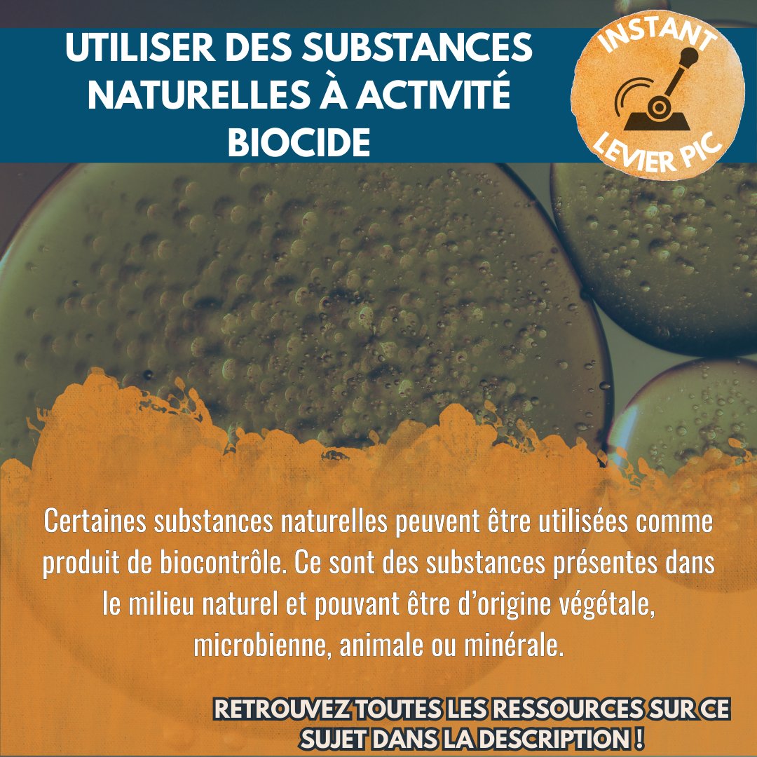 EcophytoPIC tweet media