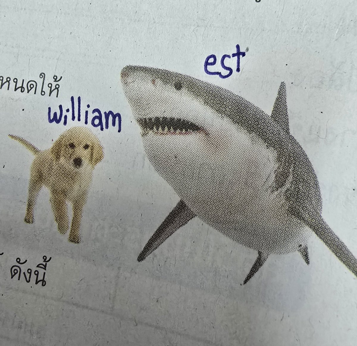 𝙣𝙤𝙧𝙬𝙤𝙧𝙧 tweet media