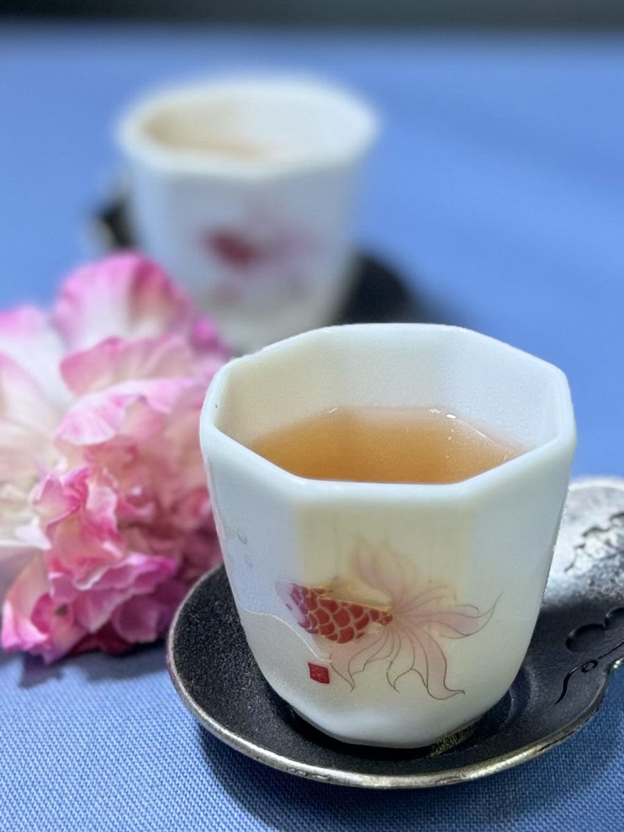 藤田の中国茶 (@wT59870evcTINIc) / Posts / X