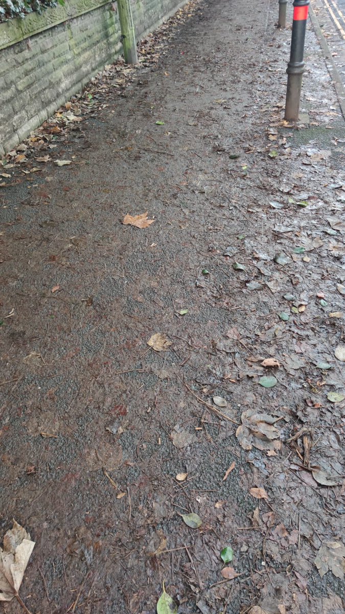 Broadheath Ward Conservatives tweet media