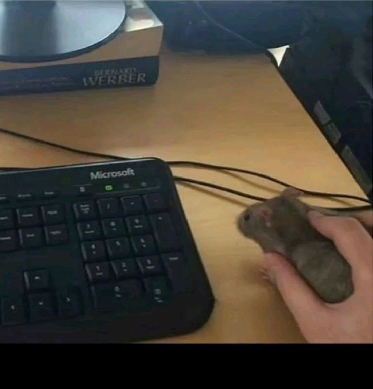 coderYadu's tweet image. When you actually use the original product 😂