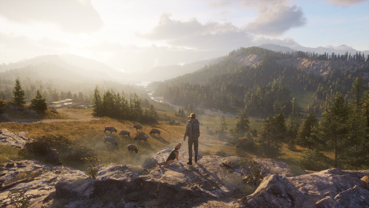 オルカ (@orukaorcat) / Posts / X