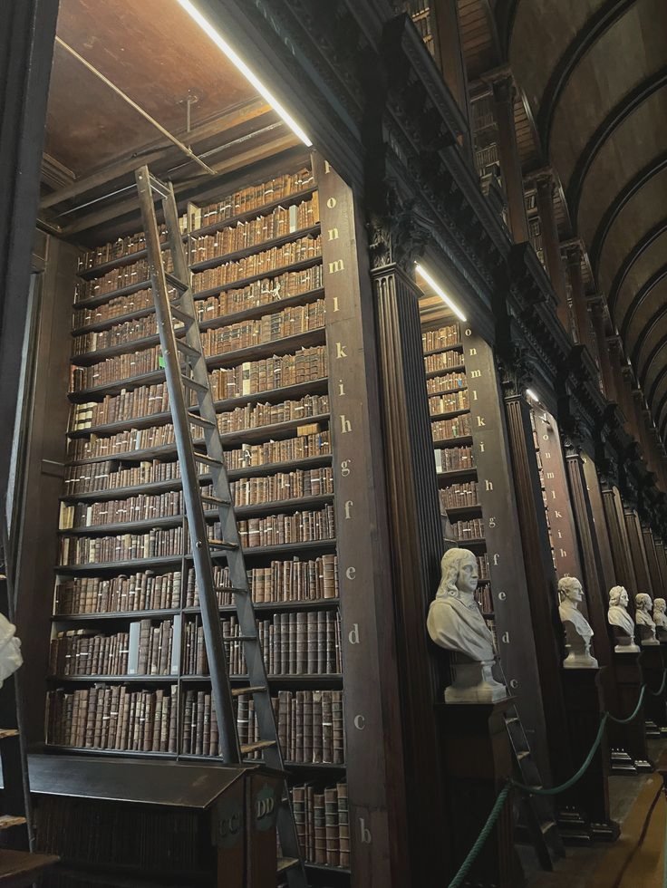 riverashed's tweet image. For six hours I have watched Dublin drown beneath the clouds. The day broke grey and shall die grey.