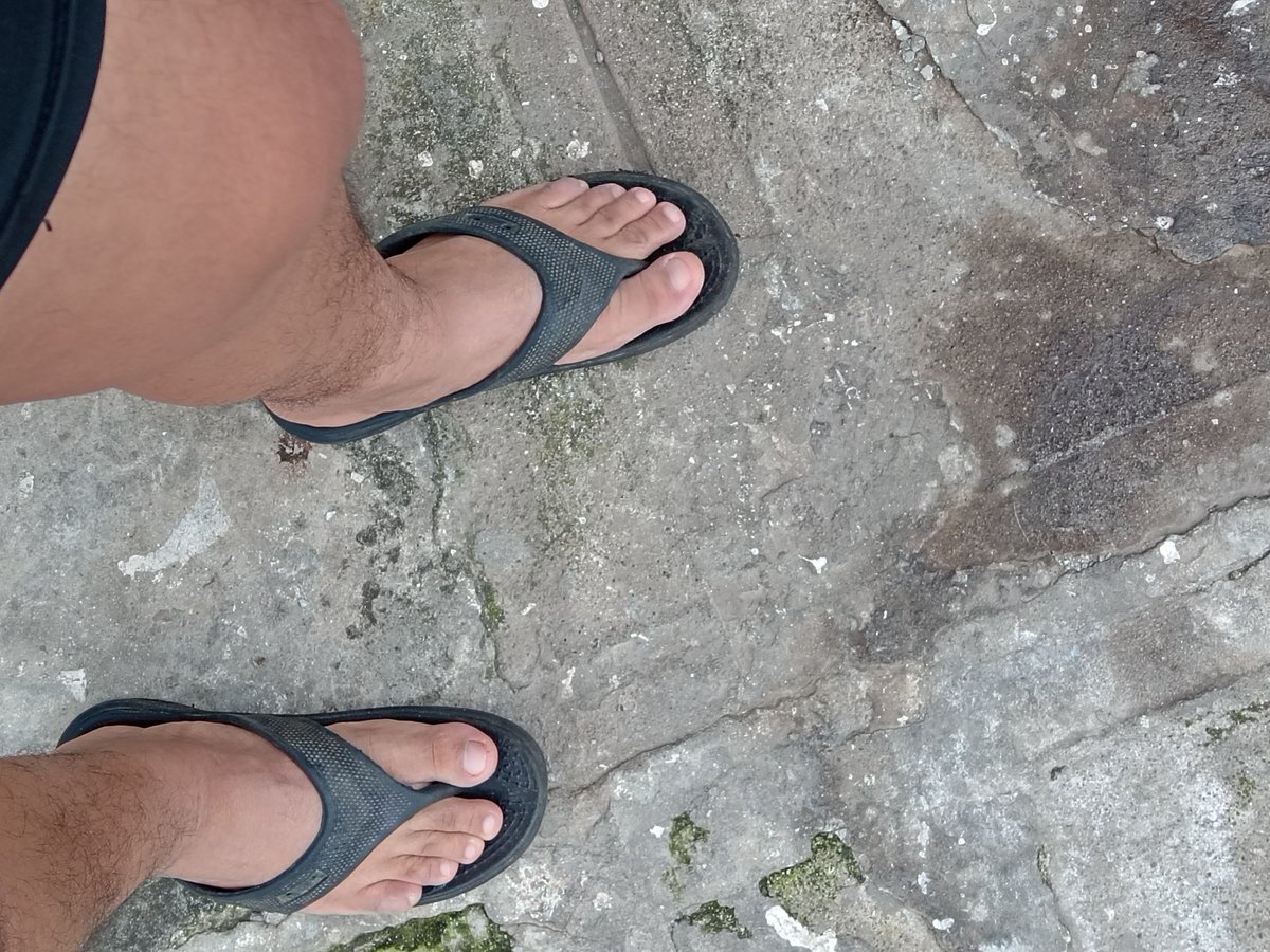 Busco modelo  de patotas 👣, o de 🍆peludita para hacer  dibujo con tematica navideña, emvia al DM la que más me guste lo hago.