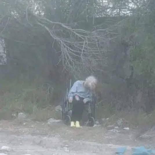 YoAmoaLaCiencia's tweet photo. Estaba buscando información sobre la muerte de tortugas en Playa Bagdad, en Matamoros, Tamaulipas y me encontré con notas sobre el abandono de una mujer de unos 80 años.

La dejaron a un costado de la carretera que conduce a esta playa.

Fue localizada inconsciente y con síntomas de hipotermia, por lo que fue trasladada a un hospital, donde permanece internada.

Hasta el momento se desconoce su identidad. 

La Procuraduría de la Defensa del Adulto Mayor de Tamaulipas ya inició una investigación y solicita apoyo para lograr identificarla.

El asilo Hogar Mater Dei, a través de su subdirector Héctor Armando Ramos, ofreció un espacio para su atención y cuidado una vez que sea dada de alta, un gesto que contrasta con la falta de humanidad de quiénes la abandonaron.

Este caso requiere la intervención inmediata de las autoridades.

El gobierno municipal de Matamoros, encabezado por Alberto Granados, el gobernador Américo Villarreal y la Fiscalía General de Justicia de Tamaulipas deben dar seguimiento a este delito y garantizar una investigación seria.

Este caso no puede quedar sin respuesta ni sin consecuencias.

La vida de una adulta mayor en extrema vulnerabilidad fue puesta en riesgo. 

Es imposible no sentir enojo e indignación, este caso debe resolverse cuanto antes.