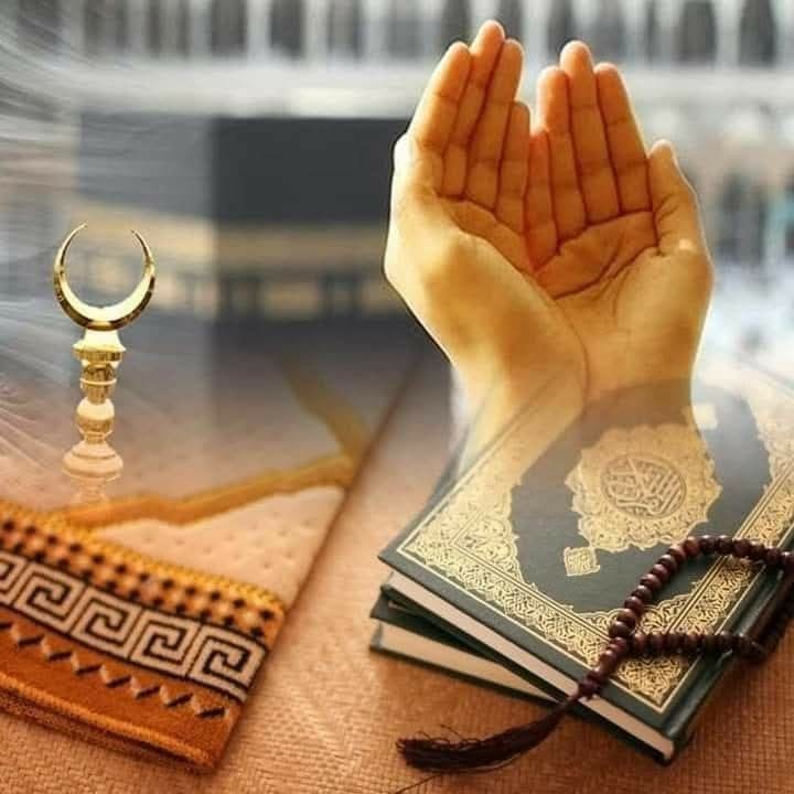 گڑیا 🙋‍♀️ tweet media
