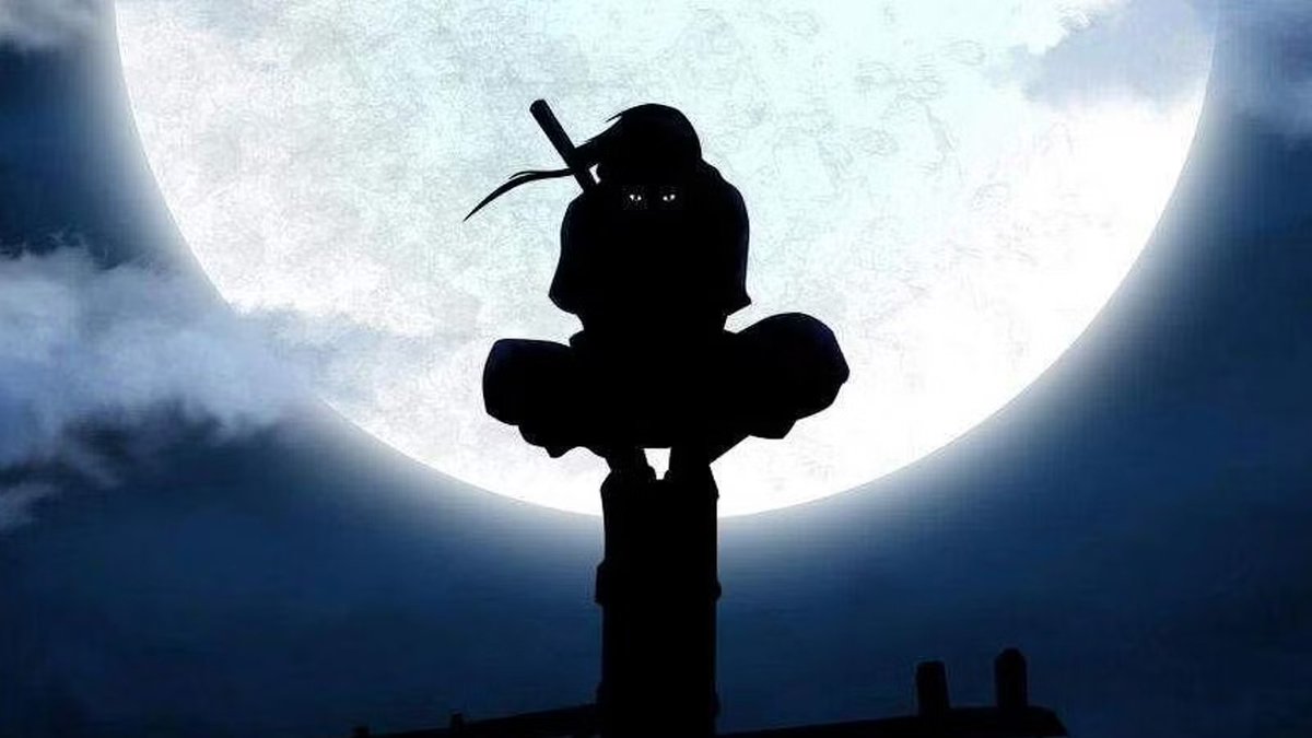 ttoo_cat tweet media