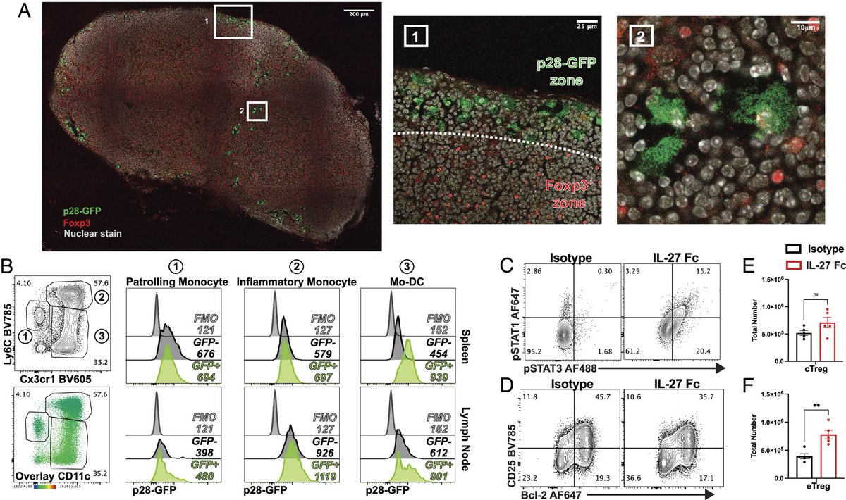 Waggoner Lab tweet media