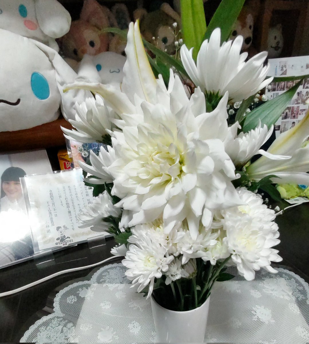 あーちゃんママ🌟🌟🌟 (@Miitun1220) / Posts / X