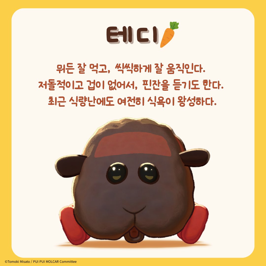 【한국 공식】 뿌이뿌이 모루카 tweet media