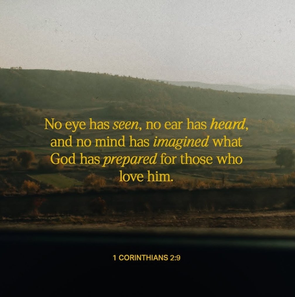 Shiller (@shiler0x) on Twitter photo 