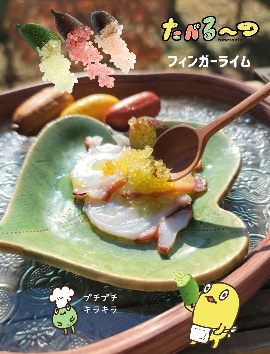 taberoots's tweet photo. 見た目はキャビア、正体はライム！

フィンガーライムは
切ると粒状の果肉がこぼれ落ちる。

料理の最後に、ひとつまみの驚きを。
#驚き食材
#フィンガーライム 
#珍しい食材 
#プチプチ 
#柑橘 #たべるーつ https://t.co/TKjeDIDjop