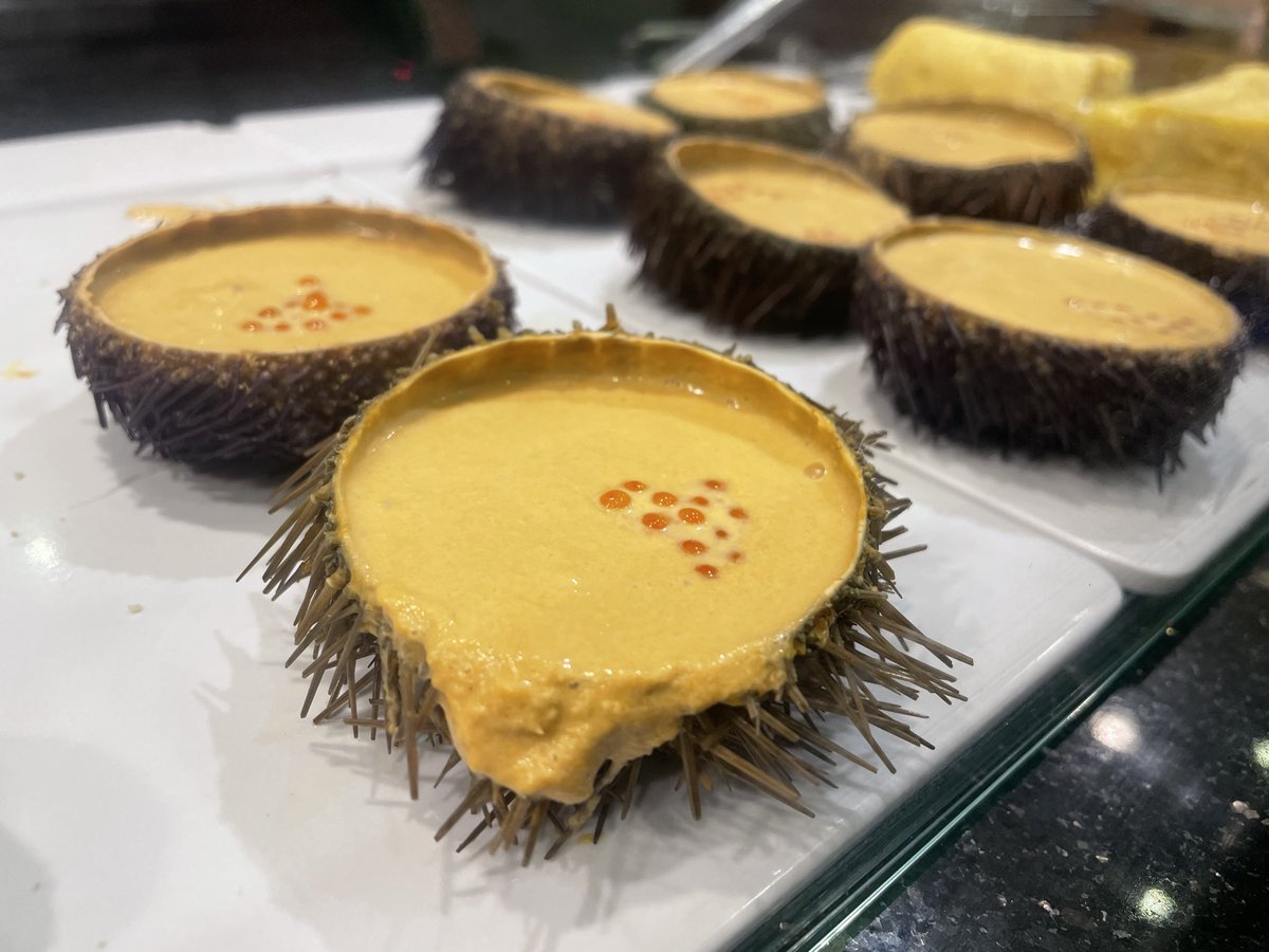 mitsu7travel's tweet image. スペイン旅行してみての感想￼

・お酒が水より安い
・みんな昼からお酒飲んでる
・生ハムが世界一うまい
・ラテンノリで楽しい
・どの街の料理も激うまだった
・サクラダファミリアの存在感が圧倒的
・ヨーロッパで貴重なお米を食べる国…