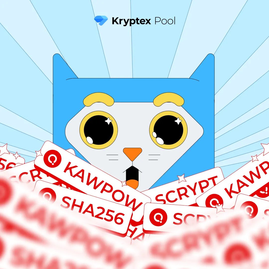 Kryptex 💎 tweet media