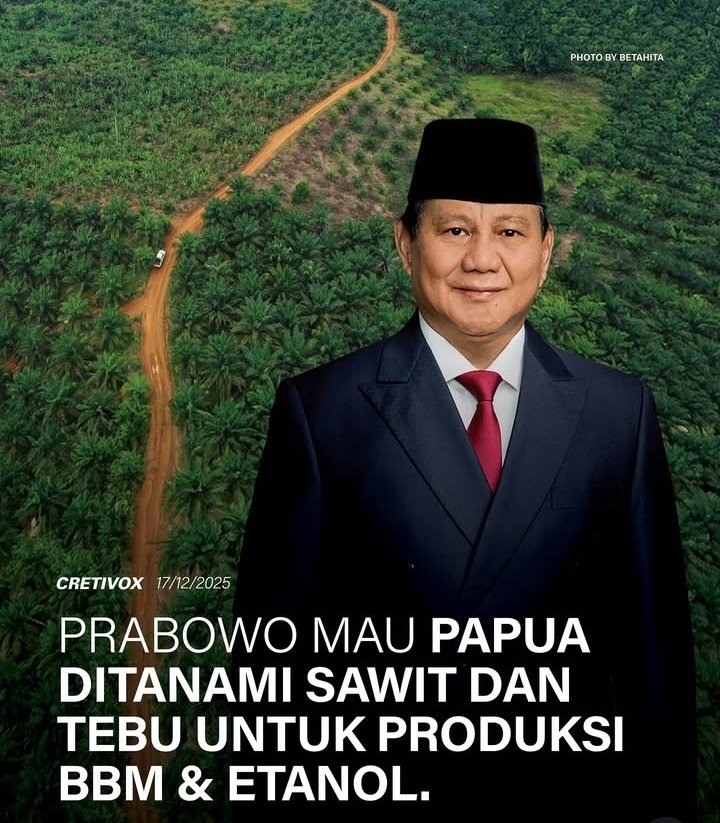 Izz Al Wiru 🏳🏳🏳 tweet media