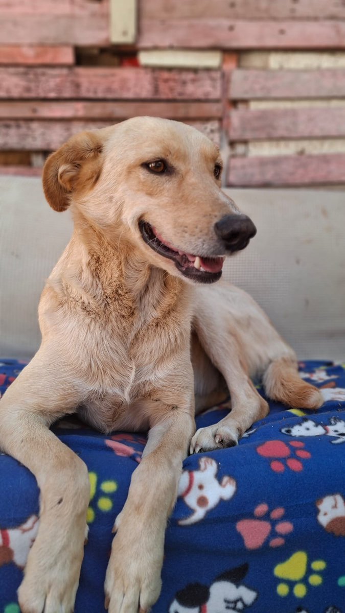 Ximena A.G tweet media