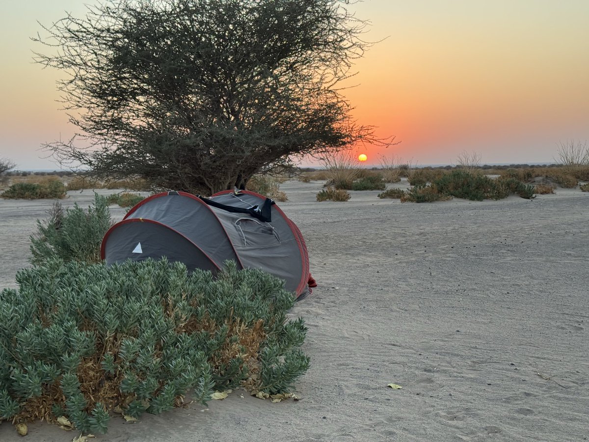 alice morrison tweet media