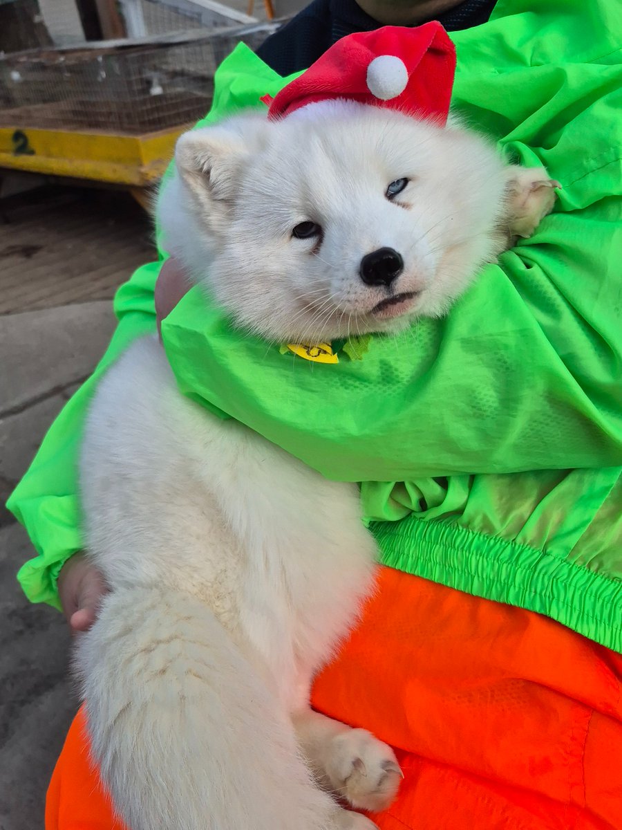 福ちゃん (@fuku39_san) / Posts / X