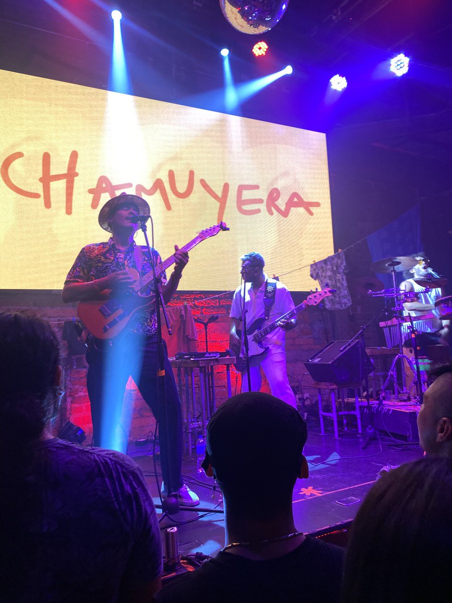 Amalia 👩🏻‍🎨 tweet media