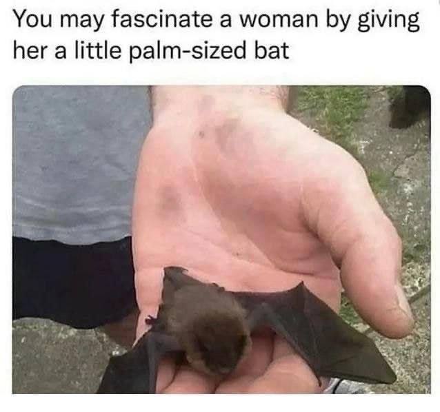 😂