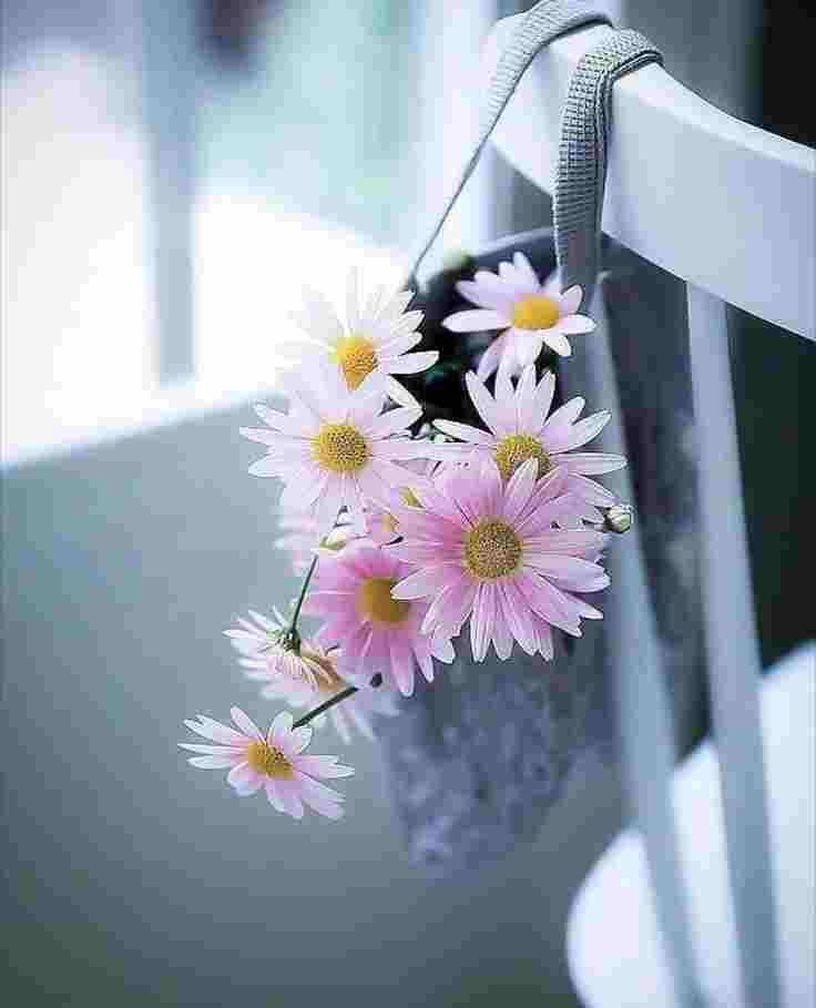 #صباح_الاجواء_الحلوه
يامقسم الأرزاق اقسم لنا في هذا الصباح من توفيقك ورضاك وغناك وتيسيرك لأمورنا ،
اللهــــــــــم اجعل صباحنا يحمل بشائر خيرك وعفوك واجعل لنا مع نسمات هذا الصباح رزقآ وسعادة وعافية وتوفيقًا في الدنيا والأخرة .
صباح الخير🌸