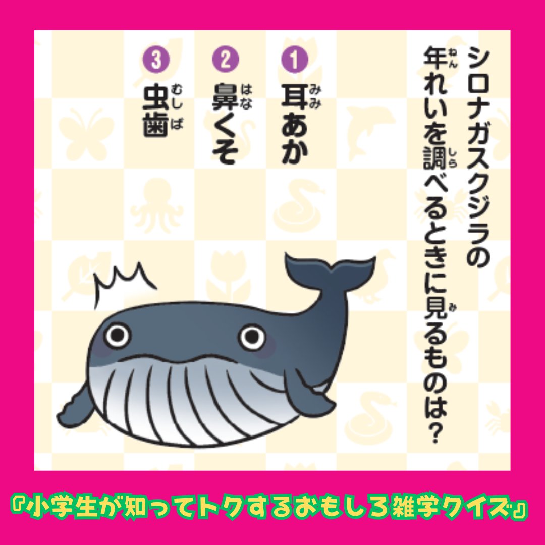 今日も、『小学生が知ってトクするおもしろ雑学クイズ』からクイズ