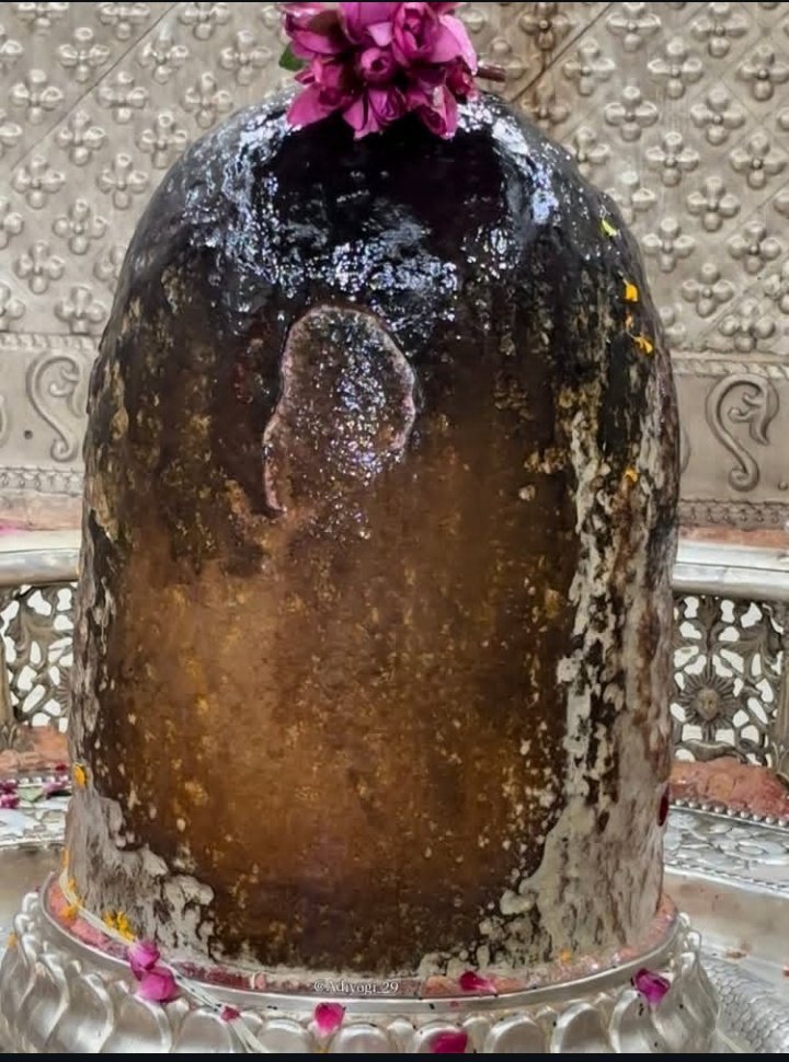 _vatsalasingh's tweet photo. सांब सदाशिव...🥺🙏 https://t.co/1ikGHKEwzb