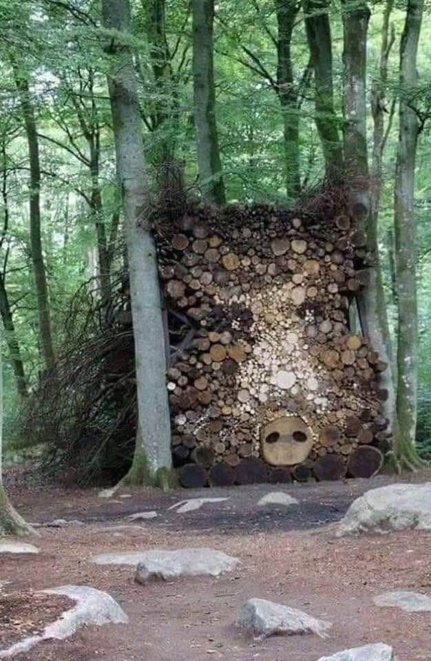 Goedemorgen, fijne donderdag.

Everzwijn, gemaakt van boomstammen....