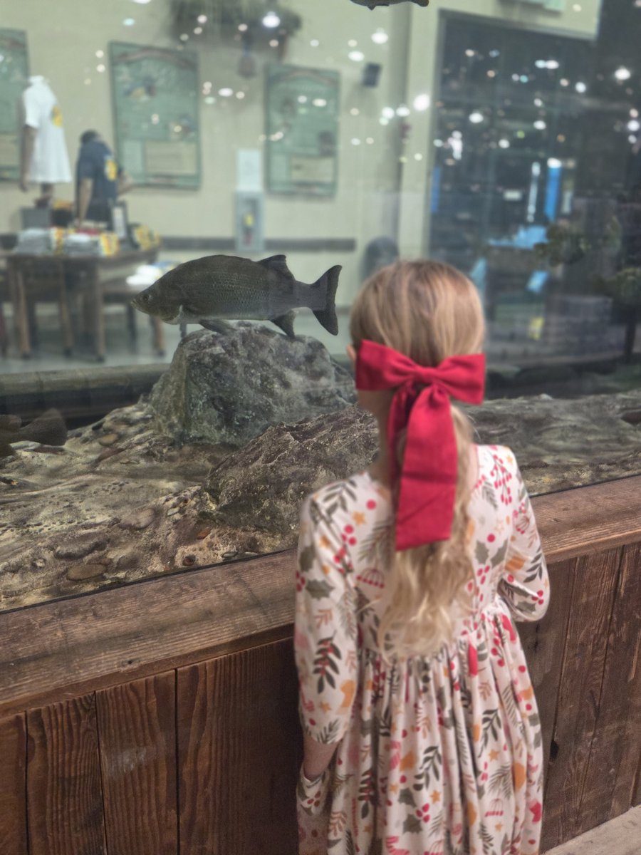 KSwim33's tweet photo. @BassProShops thank you! Thank you for providing my family 17 years of fun Christmas memories.  Thank you for providing families a free experience with Santa. We LOVE the customer service at the Columbia, MO location and grateful for this night each year! https://t.co/KWEkAli7Am