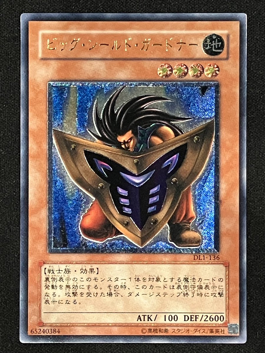 ビッグシールドガードナー【レリーフ】4⃣9⃣8⃣0⃣円 🔽商品ページは