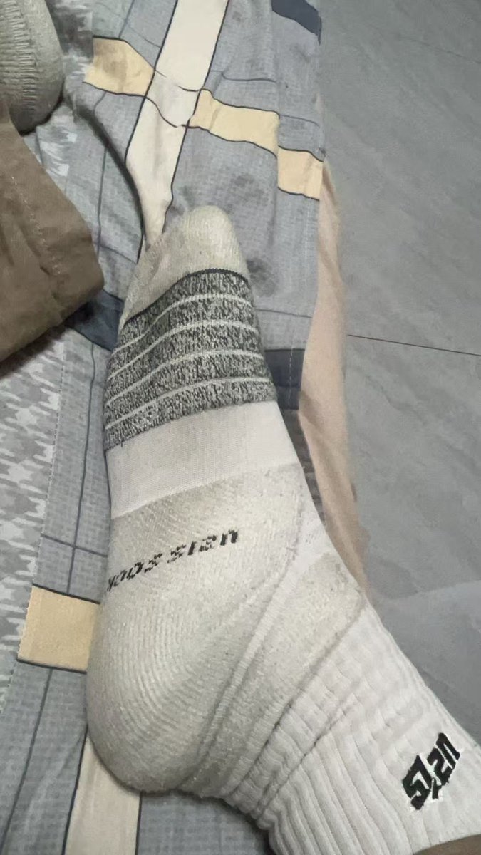 KingdomS tweet media