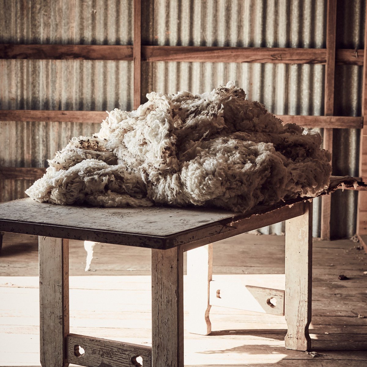 Australian Wool Innovation tweet media
