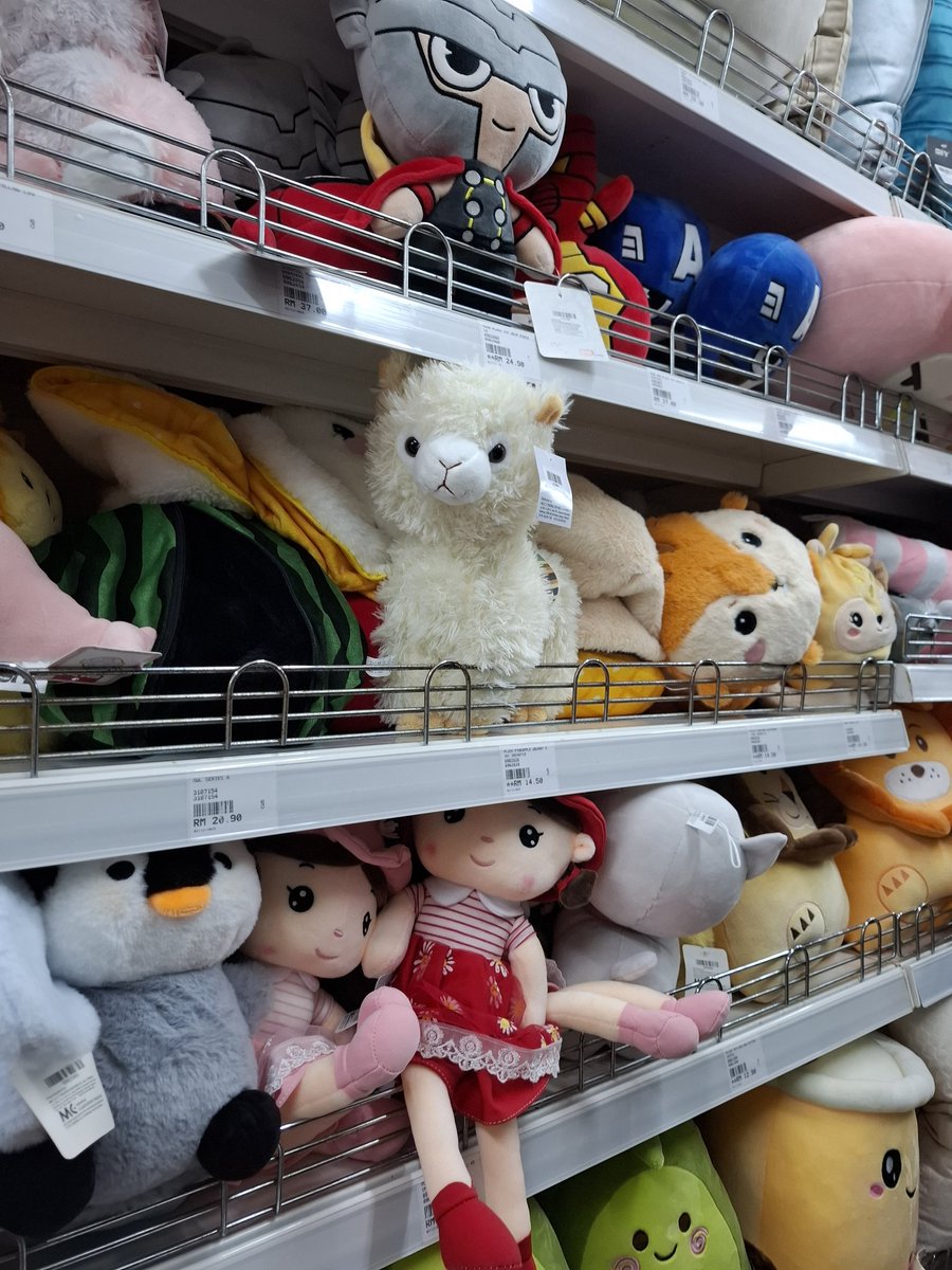 1 hour lunch Story

Walk see bmac in shop , stand 10 minute thinking, then buy . No need plastic just holding thr plushie while walking buying nasi with sweet sour chicken. Drive back to office. The end