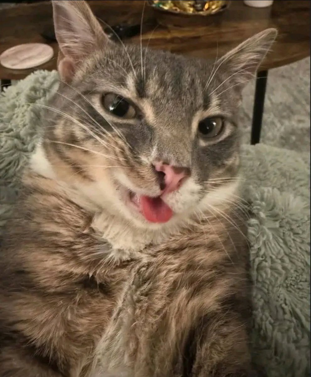 Krxpiツ tweet media