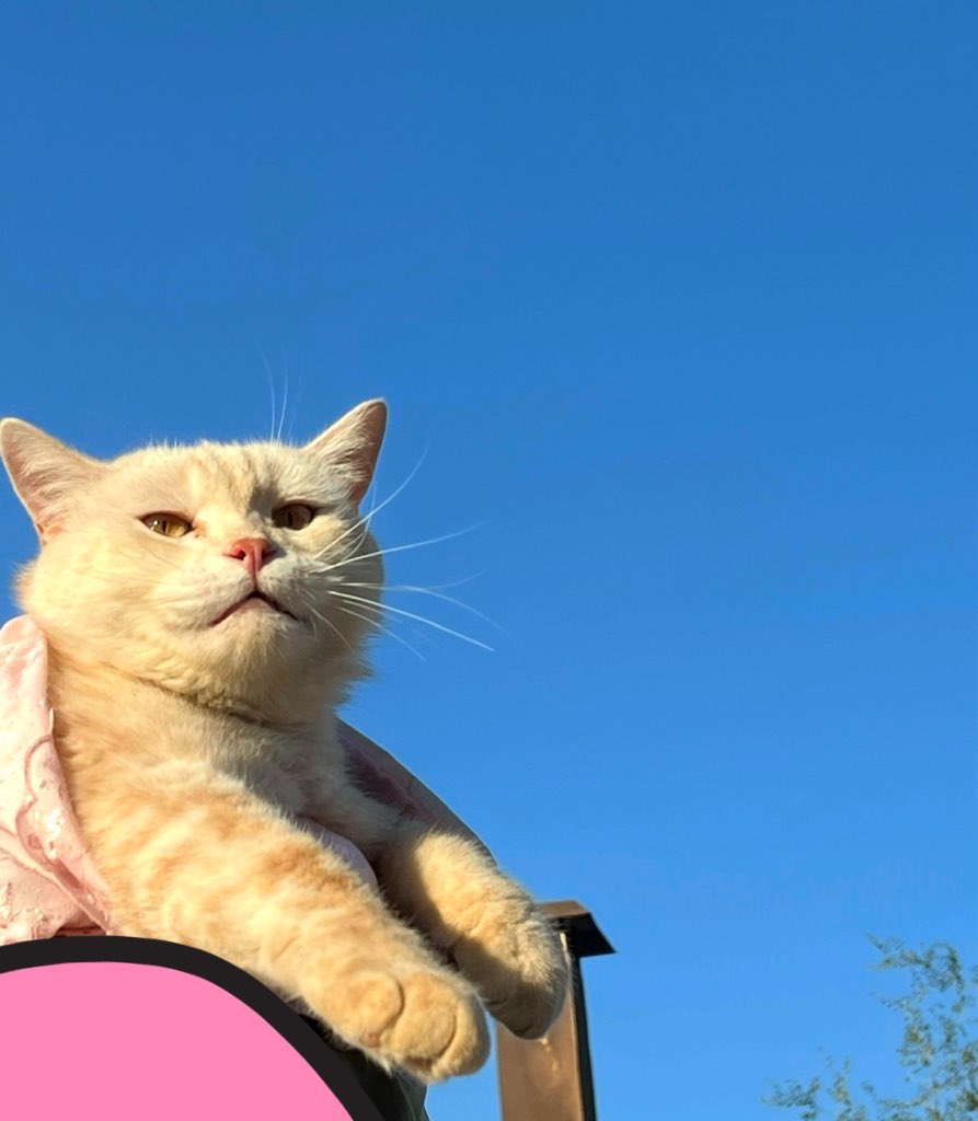 <a href="/Ne_zaha/">TAKTO</a> معليش ولدي اجمل منه