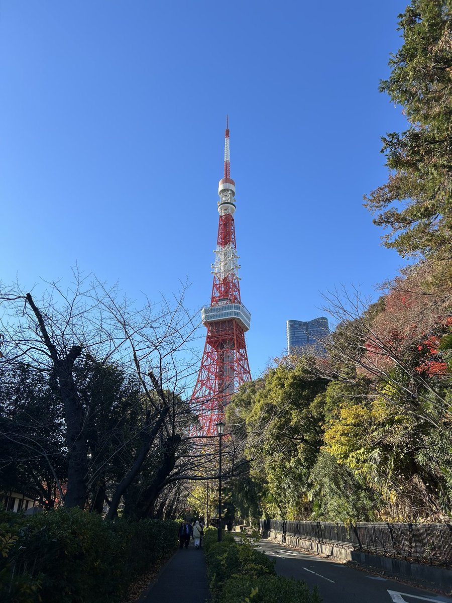 東京タワーだ🗼‼️