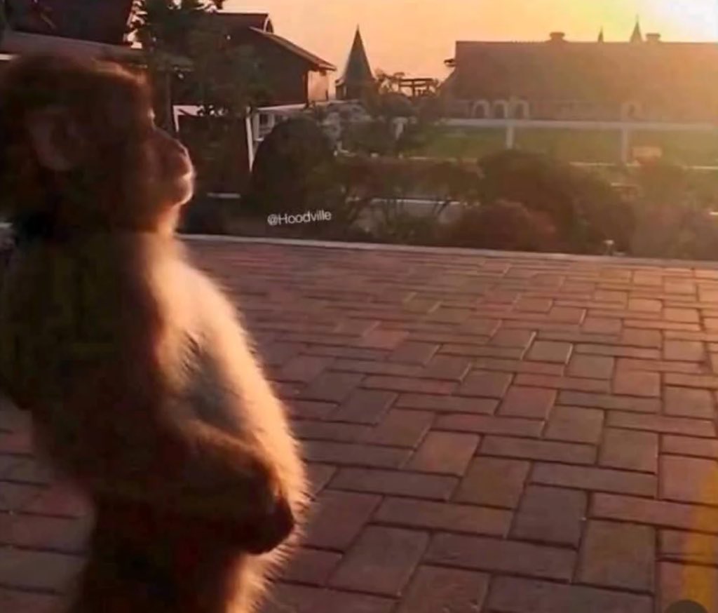 Daekbull_la's tweet image. Good morning CT and to my integra champions

Can I get a GM back?
@playmatejaylene @MadVincent666 @Alaouicapital 
Hope I get them say me gm 

Pushing more boundaries in the real estate market, proving future growth is possible to be done now.

No hype
Building✅

@integra_layer