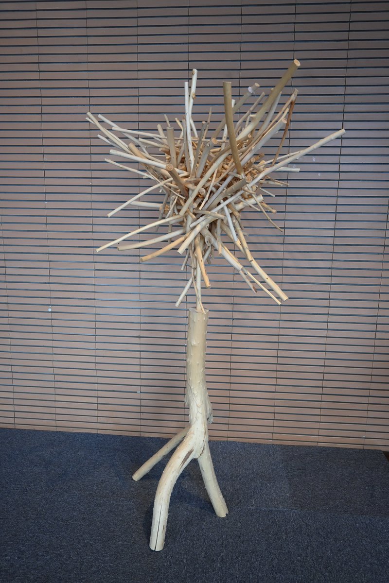 【#今日の樹華】
5日目。
枝が抜かれて、昨日よりもすっきりしました。
#旭川美術館　#砂澤ビッキ