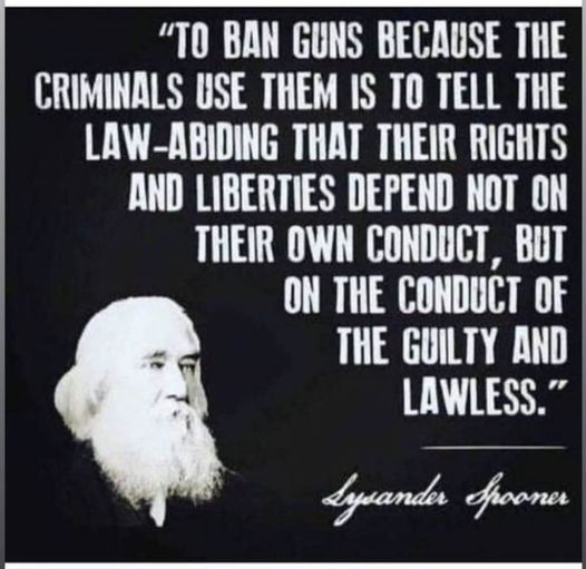 eggplantsniper's tweet image. Lysander don't miss 
#guns #GunControlNow