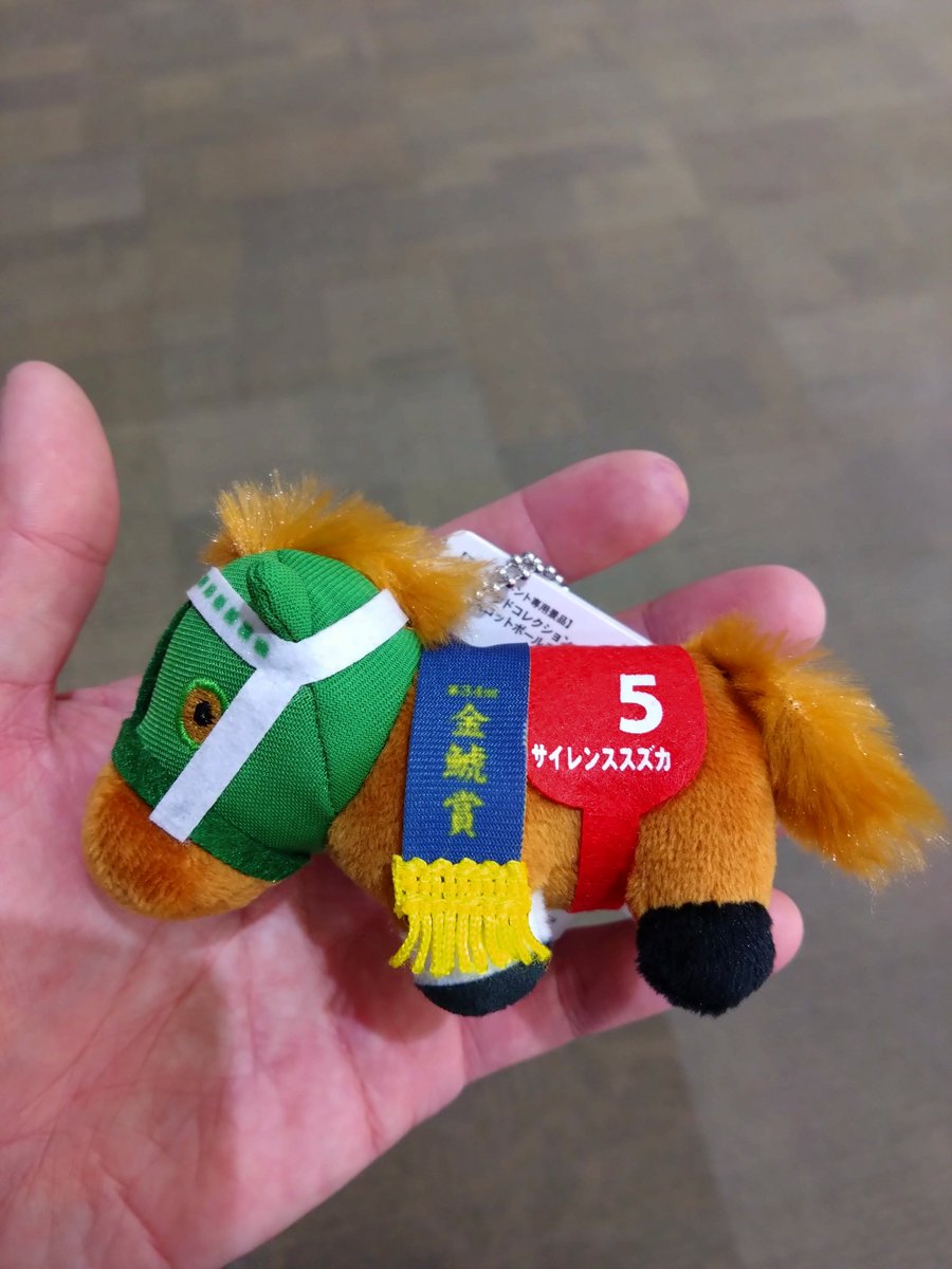 宝塚記念じゃなく、金鯱賞のレイなの良いね🤤 #サイレンススズカ