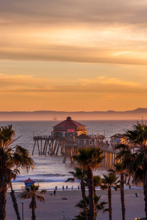 Art of the Day! "Golden HB". Buy at: ArtPal.com/gmtzphotograph…