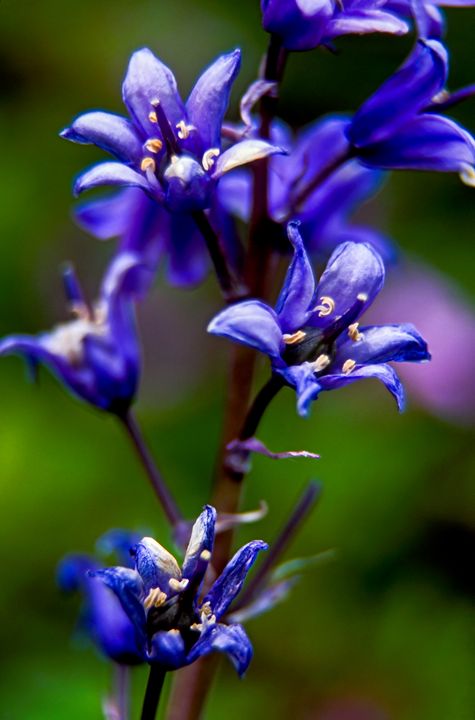Fine Art Norfolk Photography tweet media