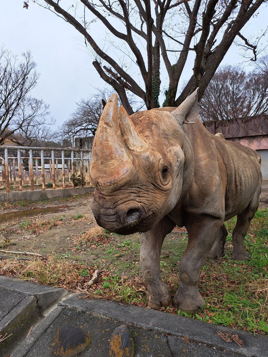 Miki (@mickey44mickey) / Posts / X