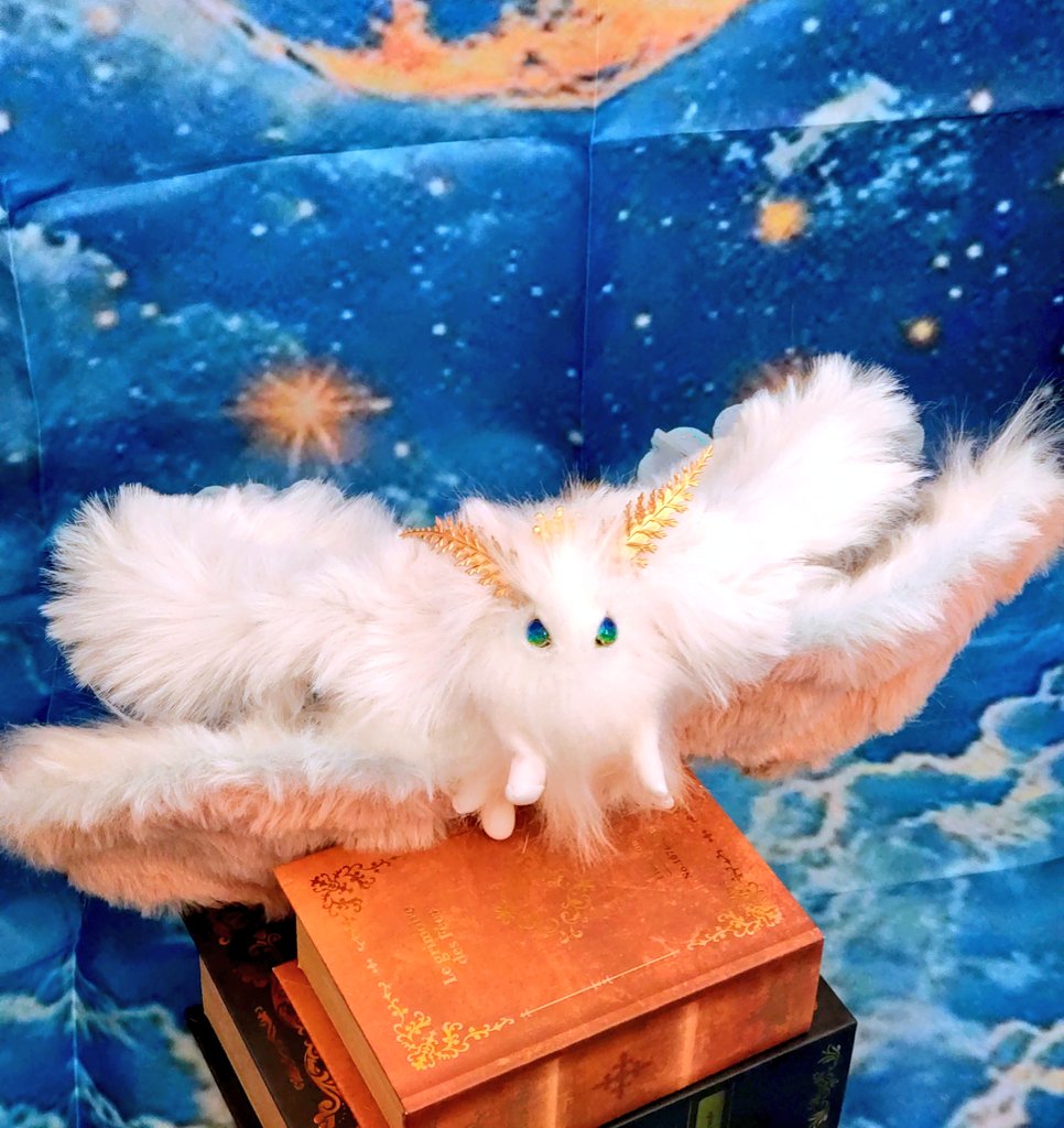 まんまるんアートドール牧場🐄🦓🎀 (@WLMmanmarun) / Posts / X