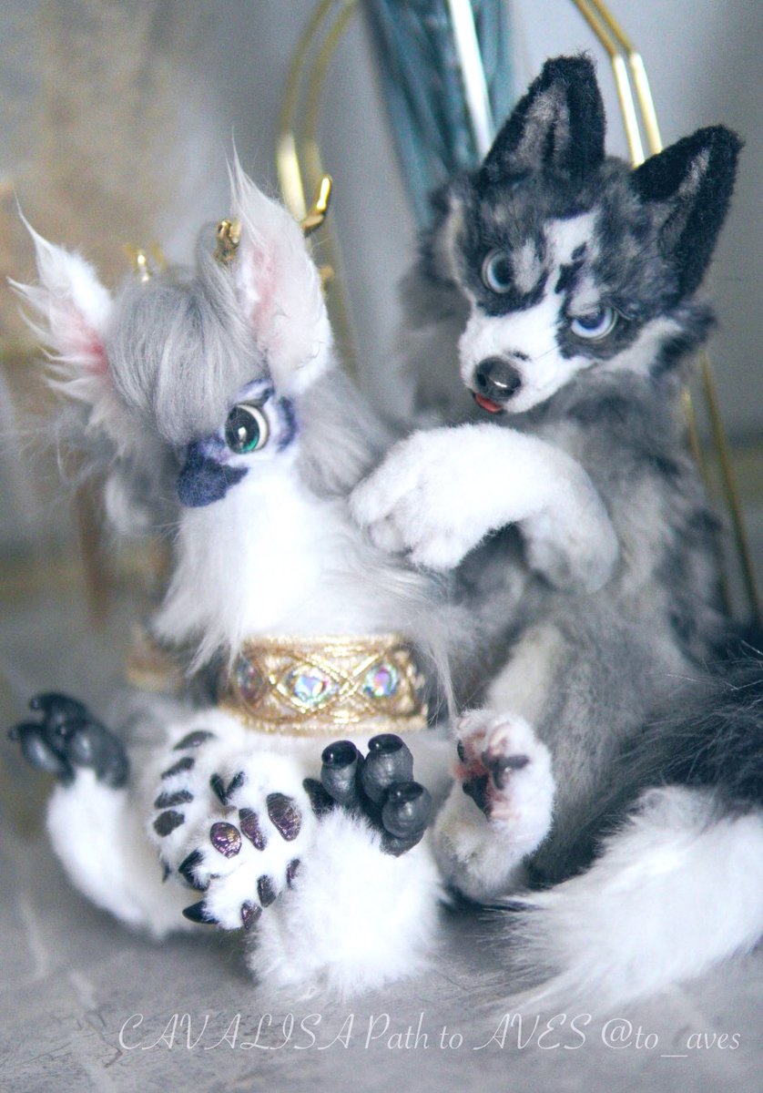 CAVALISA/アートドール作家 (@to_aves) / Highlights / X