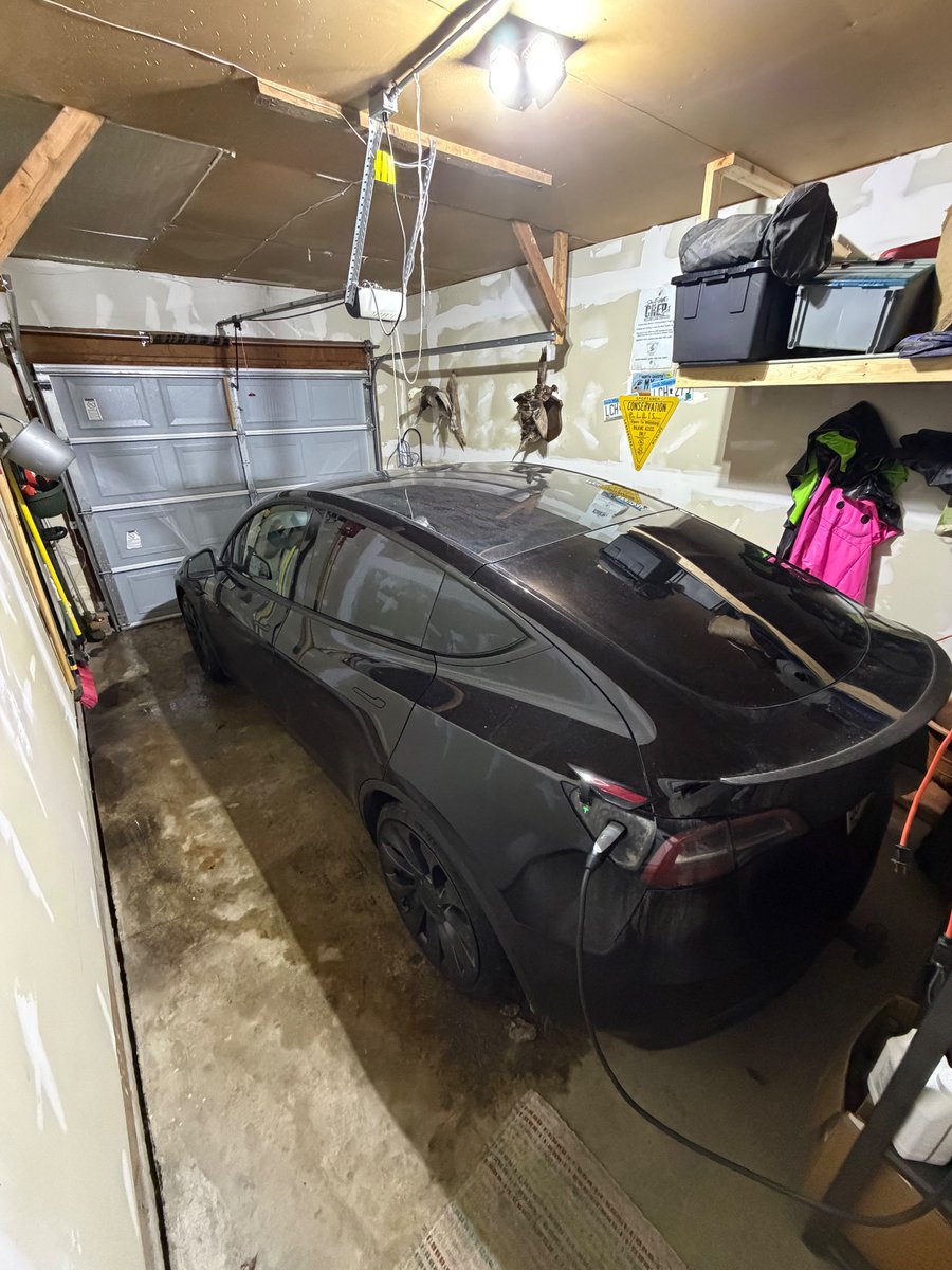 GjerdevigAlec's tweet image. 