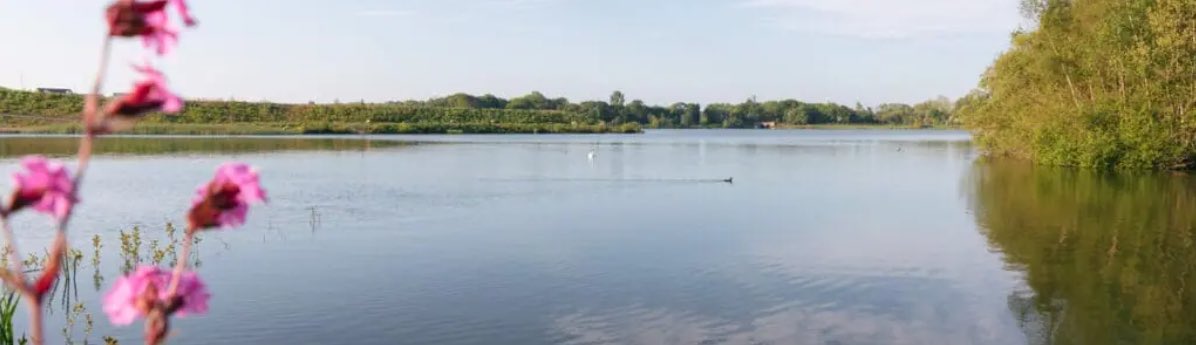 COMING SOON 👀                                 Lakeside Gardens 🦆🦆🌳🌲🏊🎣