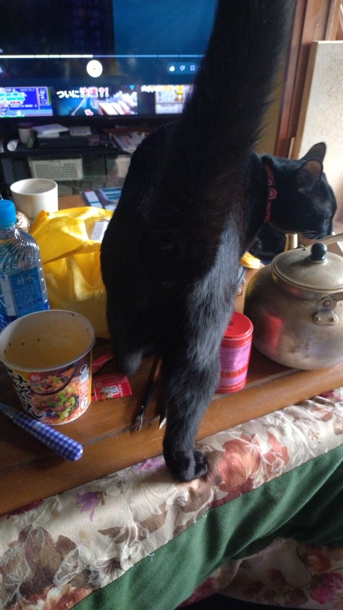 ロケットミサイル兵 tweet media